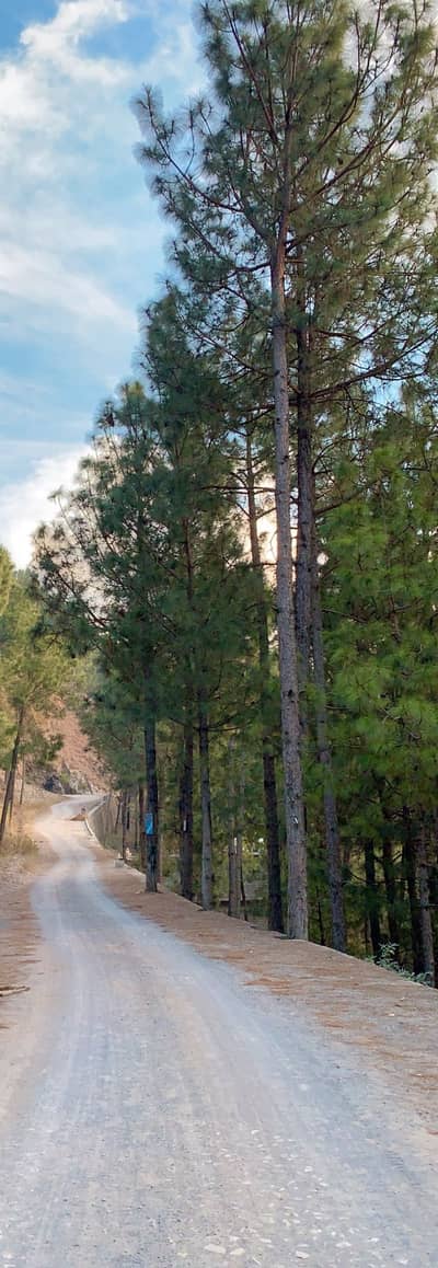 1 kanal plot for sale