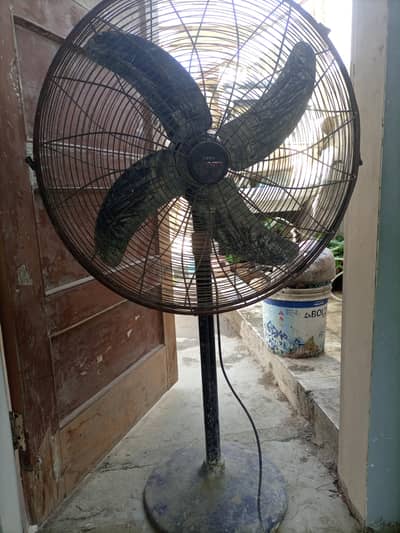 Royal stand fan Available for sale 10 by 10 condition easy to use