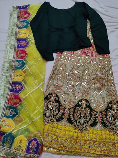 Heavy Mirror Work Lehenga/ Blouse/dupatta – Wedding / Mehndi Dress