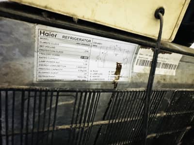 Haier Refrigerator