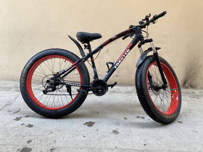 Morgan Fat Tyre bike