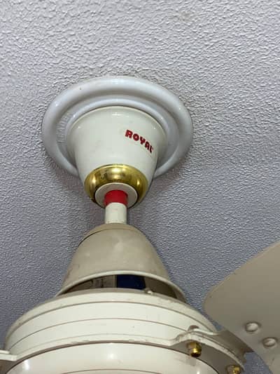 2 royal fan for sale