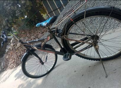good condition bicycle hai  03037802695