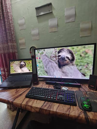 Dell Precision M4800 Gaming and Editing Machine