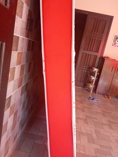 Master molty foam for sale