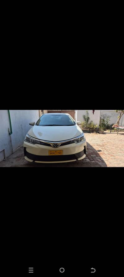 Bumper to bumper total genuine Corolla Xli 2019