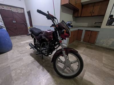 10x10 condition bio on the spot available