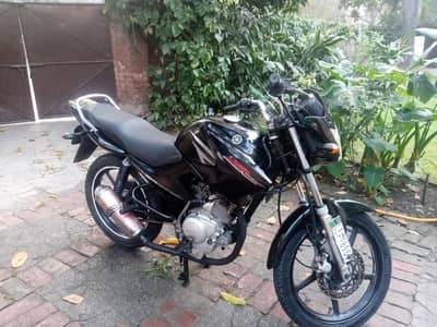 Yamaha Ybr 125  tubeless tyre