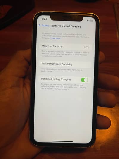 Xr converted to 16 pro