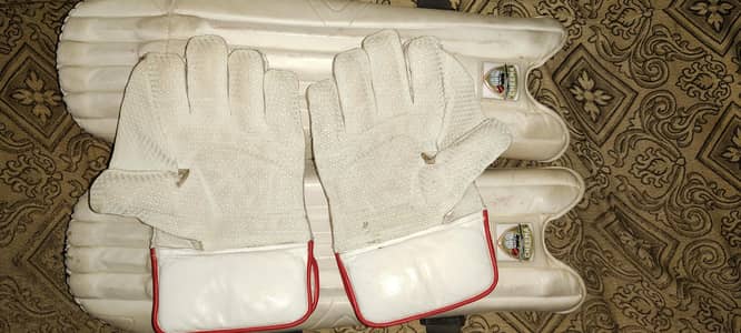 keeping pad & gloves