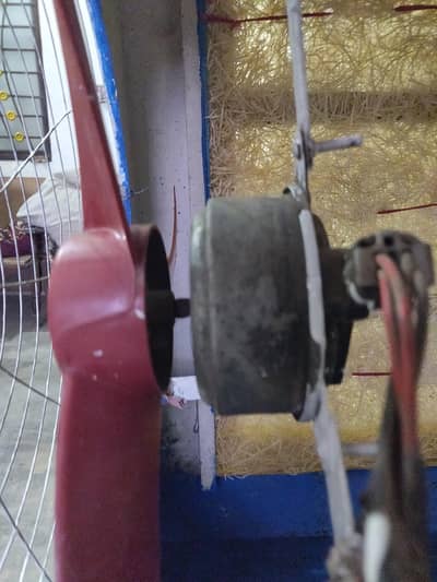 cooler for sale medium