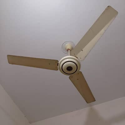 PEL CEILING FAN