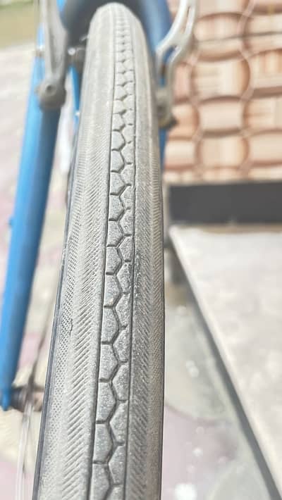 Import in sufia back 8 gar front 4 gar