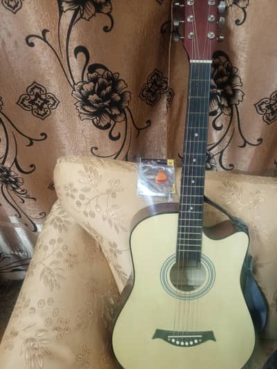 Acoustic guitar Equities Brand Original