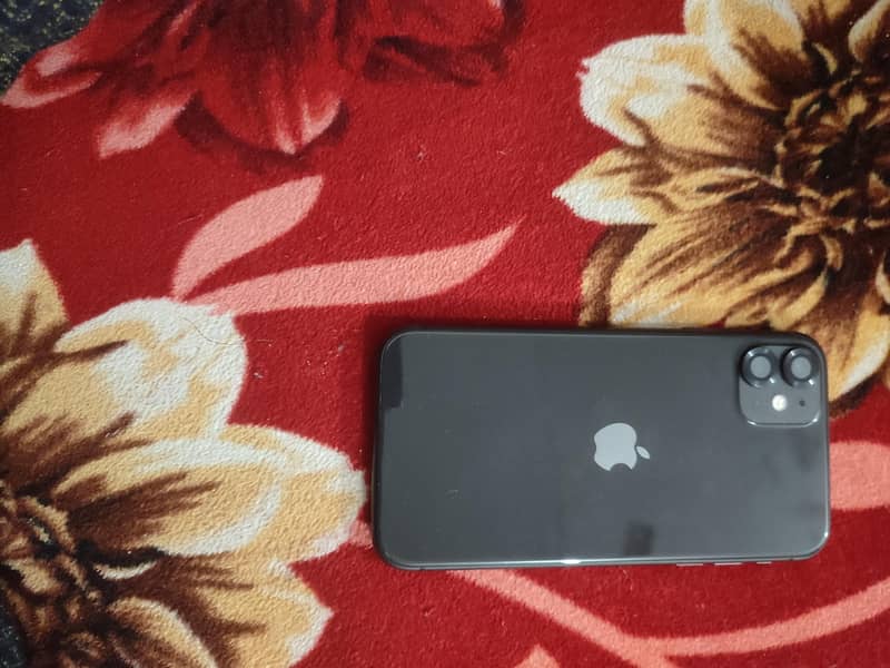 iphone 11 0