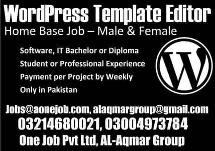 Software Engineers, website Builders & Accountant