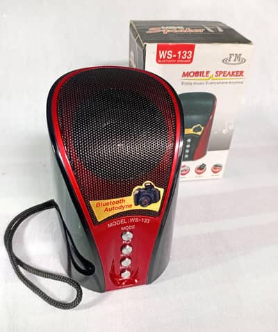 WS-133 Mini Bluetooth Speaker - FM Radio/USB/TF Card (Rechargeable)