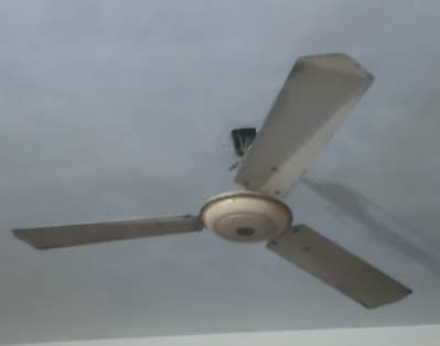 Copper fan 99.9% copper , heavy fan , 2 fans