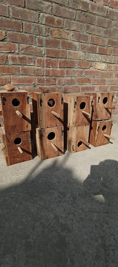 breeding box kikar 08 nos