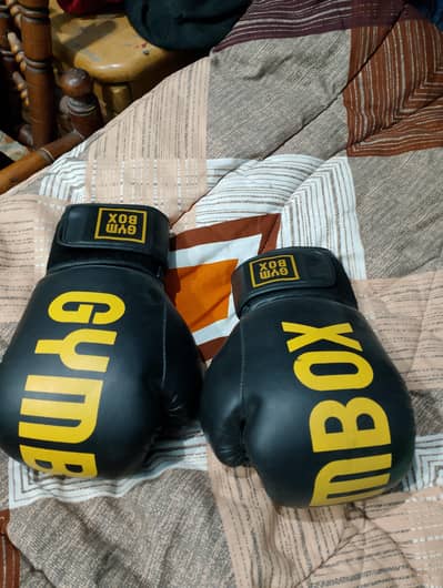 Imported Boxing gloves pure leather