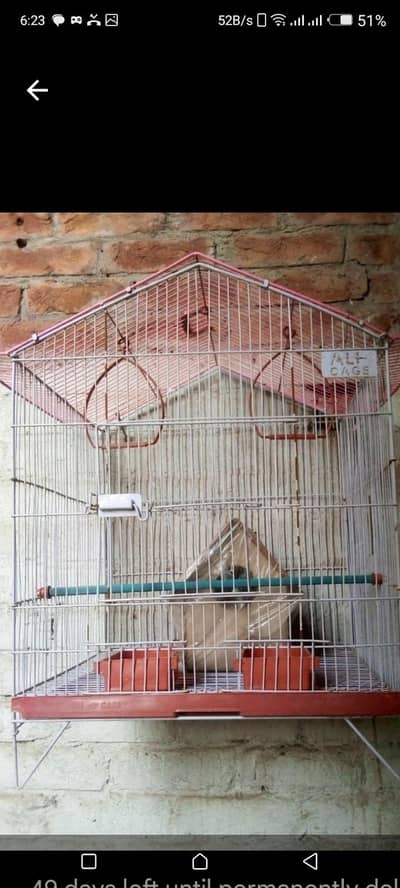 birds cage