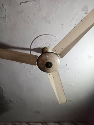 100% copper Fan full size
