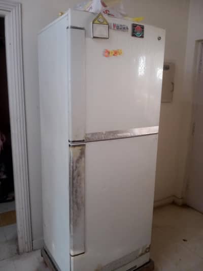 PEL Refrigerator