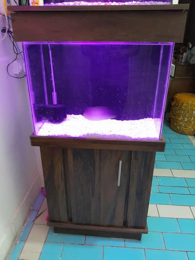 Full  Setup ( Shifting Home )