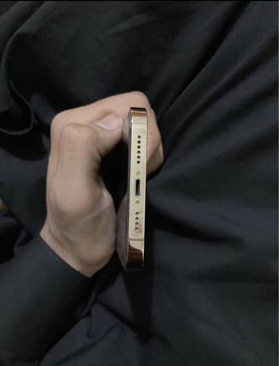 iPhone 13 Pro Max 256GB Gold 83 batery health– Excellent Condition –JV