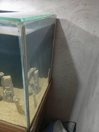 aquarium for sale
