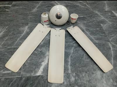 Royal Deluxe Fan (1 year use)