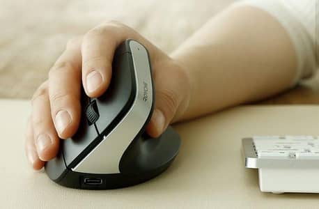 ROYCHE RX-800 Vertical Wireless Mouse