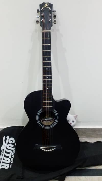 acoustic guitar for sale (swift horse)