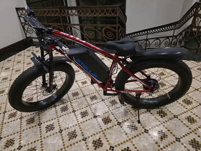 electric+manual bicycle