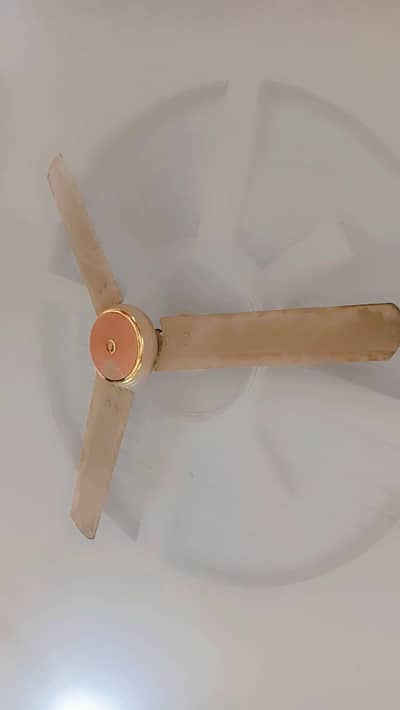 ceiling fan for sale