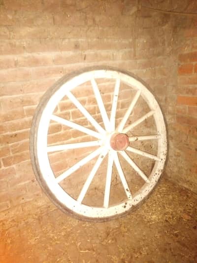 Tanga tire for decoration