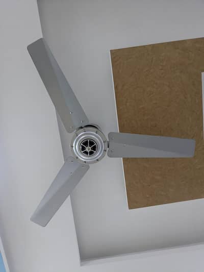 indus ceiling fans