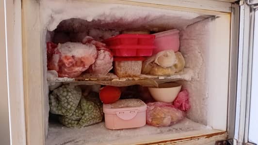 fridge for you buy now