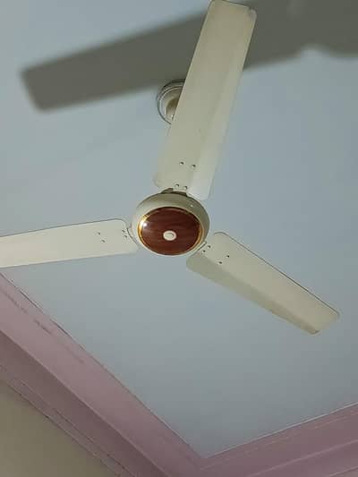ROYAL CEILING FAN 56"