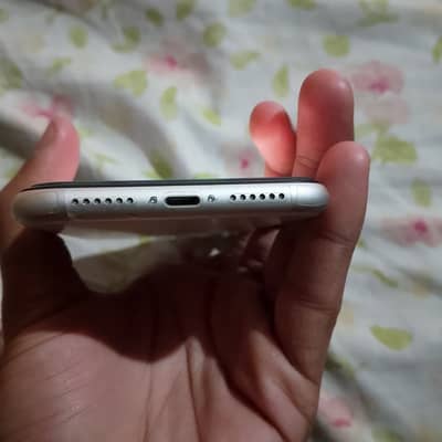 I phone 11 pta approved