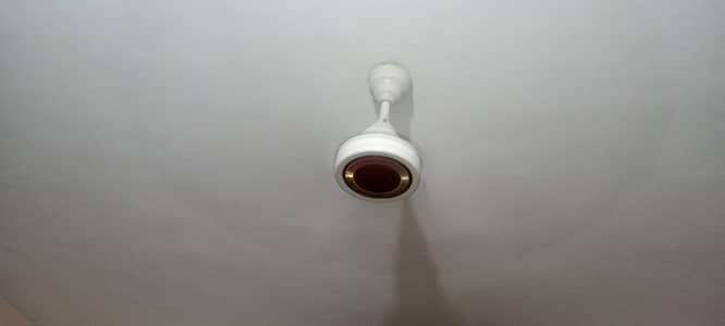 5 Royal ceiling fan lifetime warranty
