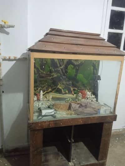 Fish Aquarium with some accessories