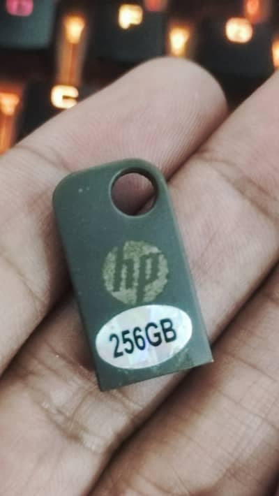 256GB USB 3.0 Flash Drive New