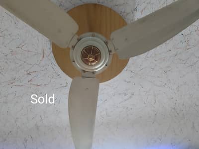 2 GFC Fans and 1 SK Fan