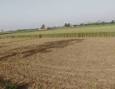 4 Acres Agriculture Land for Sale