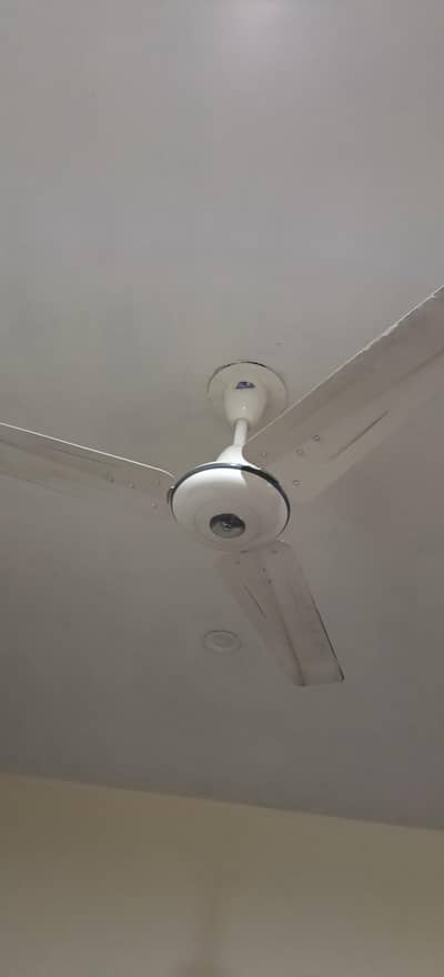 pak fan, ceiling fan