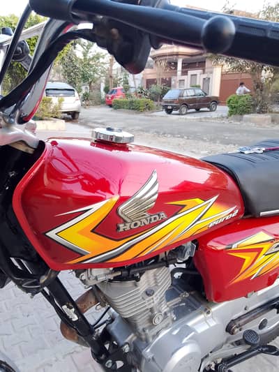 contact no 03704110060