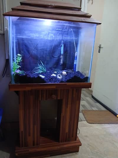 Fish aquarium with stand