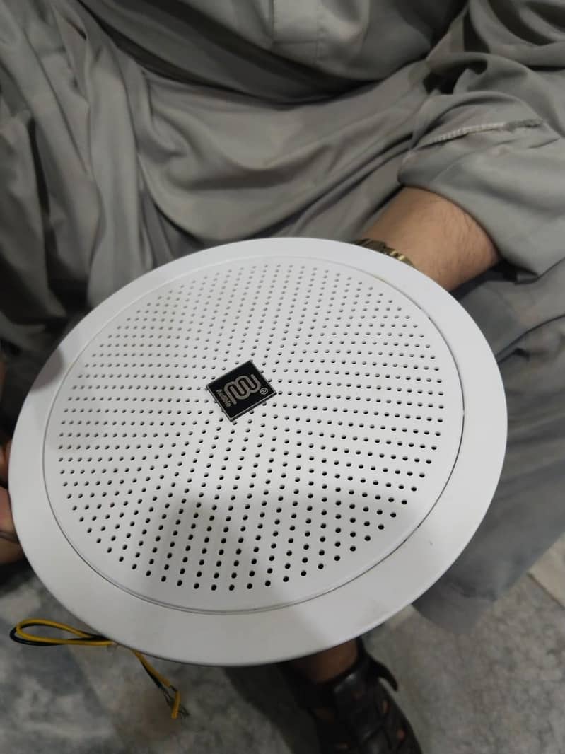 Ceiling Speakers 0