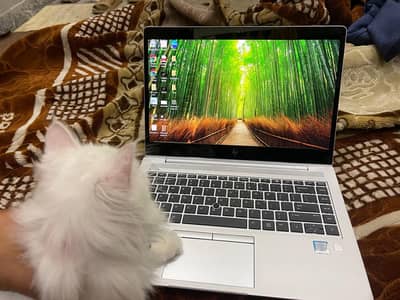 HP ELITE BOOK 840 G5